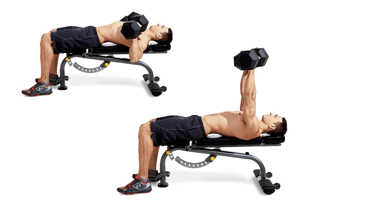 Dumbbell bench for upper body training